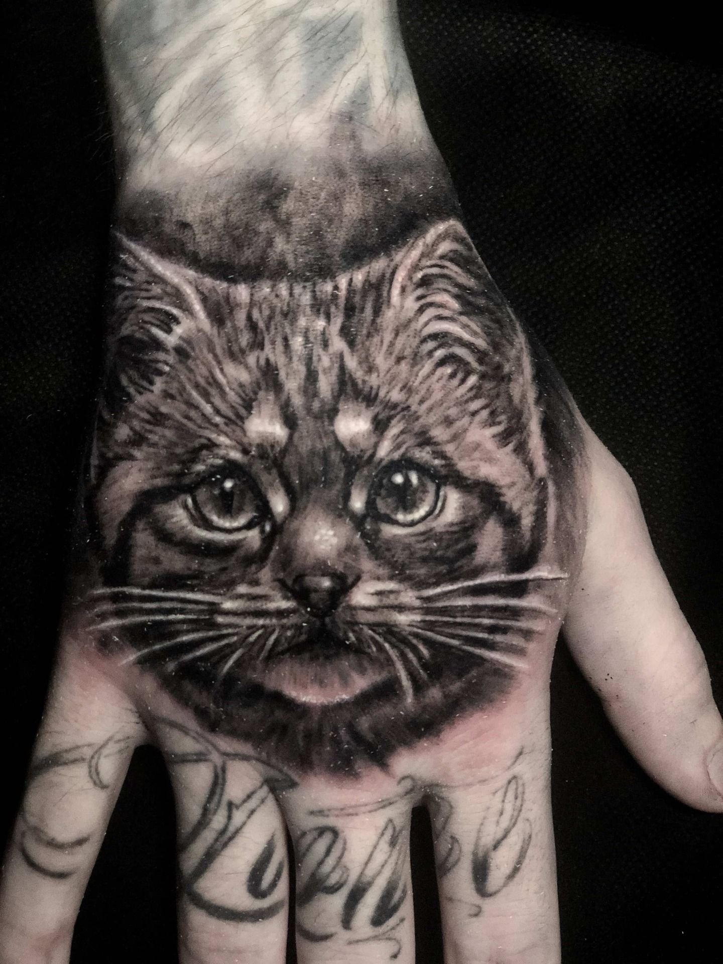Black and gray tattoo of a realistic cat's face on the back of a hand, with script lettering on the fingers.